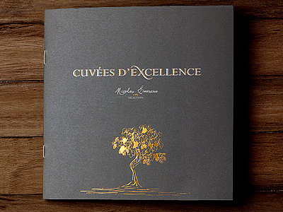 High quality catalog for Loire's region wines - Cover art direction bottle branding catalog cover grape graphic design photography print design vineyard wine wine grower