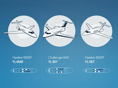VipAvia airplanes badges drawing
