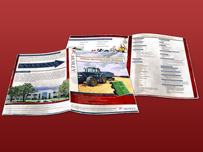 Morey Brochure brochure graphic design print