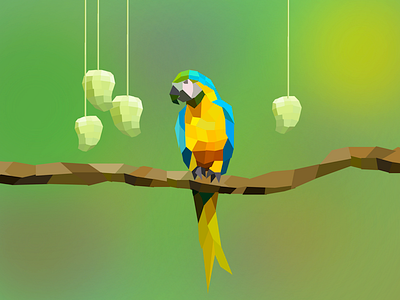 Macaw illustration macaw polygons sketch