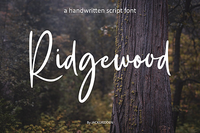 Ridgeweood branding elegant font international invitation logobrand mockup modern multilingual ridgewood script stylish typeface versatile wedding