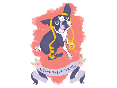 Ramona the Boston boston boston terrier caricature character cute dog feminine girly illustration ramona