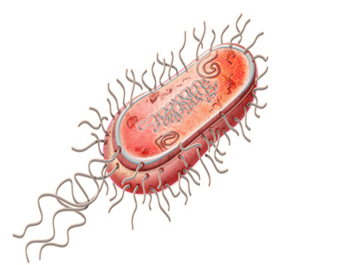 Cell art color artist doctor doctors office hospital illustration medical nursing photoshop scientific