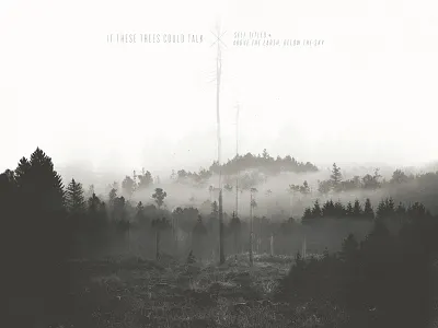 Double Album x Double Exposure album art black white double exposure photography trees