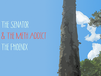 The Senator css floriduh svg web design