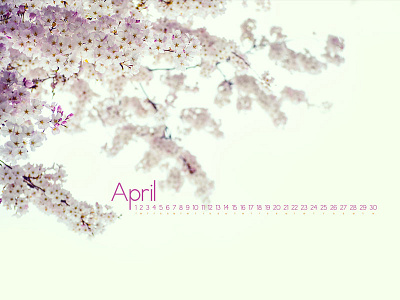 April 2014 calendar cherry blossom download flowers nikon d80 photograph wallpaper