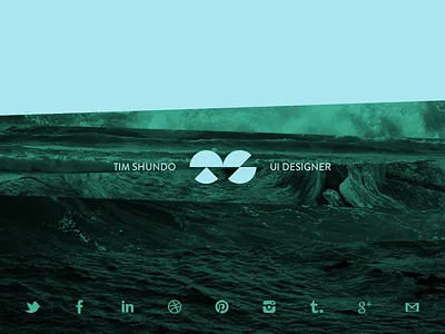 Shot #1488028 icons logo nicaragua ocean timshundo water website