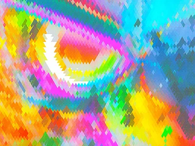 Manguni Bird area105 bird colorful rainbow