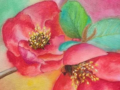 Watercolor spring flowers beaty flowers fresh green paining red spring watercolor