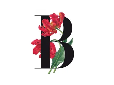 B - Rose b rose typography