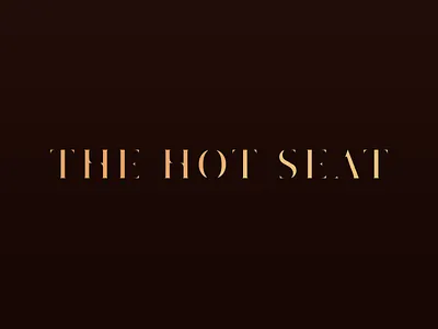 The Hot Seat Logotype contrast logotype serif type typeface