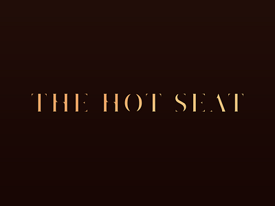 The Hot Seat Logotype contrast logotype serif type typeface