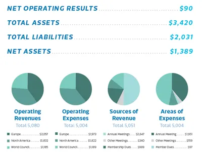 Financials annual report financials graphs infographic