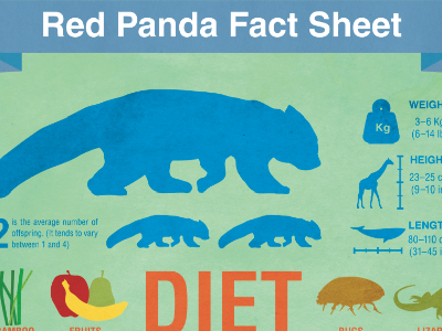 Red Panda Infographic diet firefox infographic nepal red panda wwf