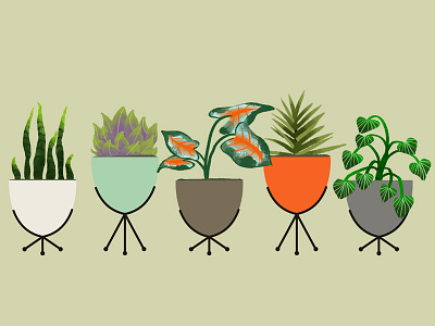 Bullet Fever bullet planter houseplant illustration nature plants retro vintage