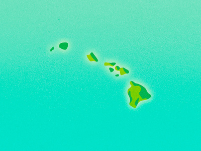 Hawaii hawaii illustration illustrator