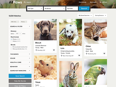 AllPaws.com product design uxui design