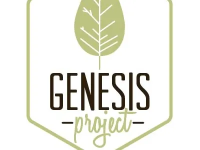 Genesis art branding church design illustration