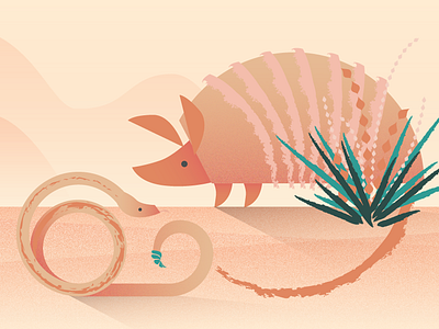 Desert armadillo desert illustration snake