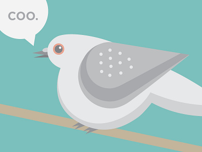 Stella bird coo cute dove illustration simple vector