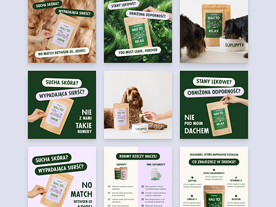 Supuppy Social Media dogs feed graphic design pet care social media supplements