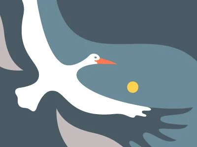 Float Studio — lightness bird float floating harmony illustration minamalistic minimalism mystery pure sky stork style