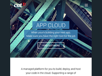 Responsive mobile first Catn design flat mobile responsive