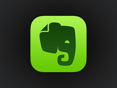 Evernote iOS 7 Icon evernote icon ios