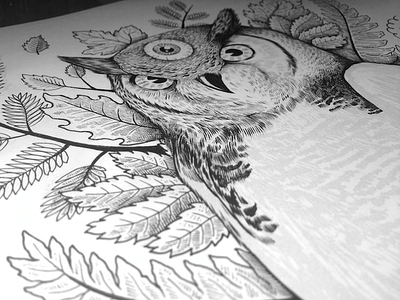 Hoot brush drawing floral forest illustration ink owl traditional