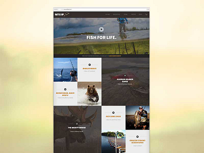 Landing page refresh. gui responsive design web design