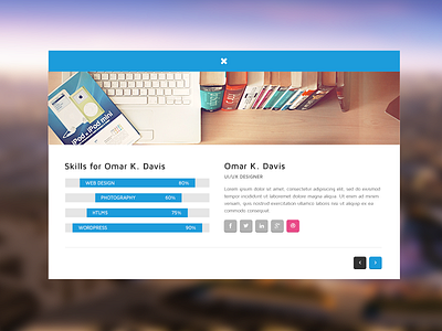 Members Details alaminmir blue members nokshacreative skills uiux web