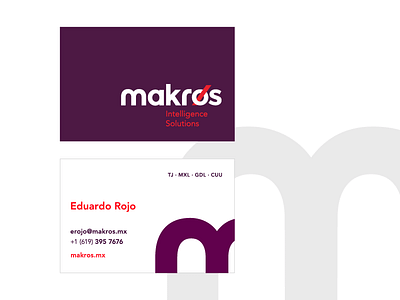 Branding -makros. Intelligence Solutions branding business cards logo logotype naming real estate