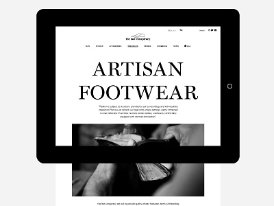 tlc brand and e-commerce site branding mobile design web design