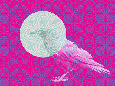 CMN invite crow pattern rsvp