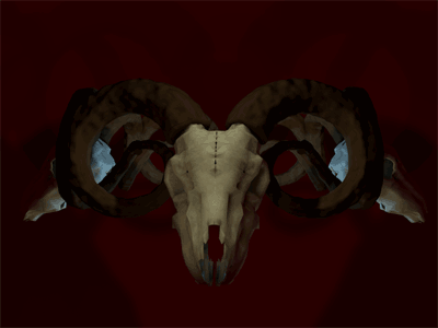 Skull 3d animate animation model skull