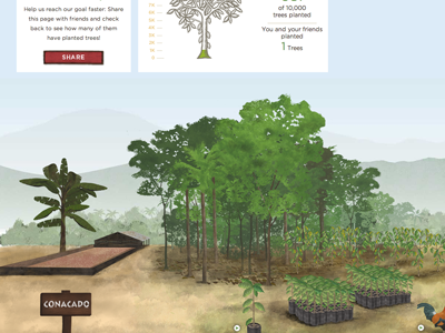 Equal Exchange, Plant A Tree illustration interactive web