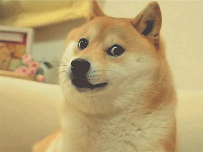 Much Animate. Wow. animation design doge flash interaction motion transition tutoirla