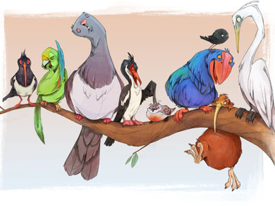 Kiwi Diary Dribb birds character design endangered nz birds kiwi diary