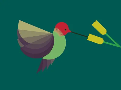Humming bird flat humming bird