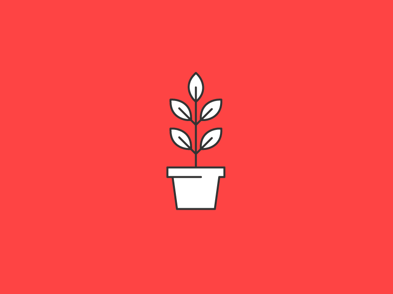 Blog Post | After Hours: In the Garden after blog focus lab garden gardening hours icon illustration