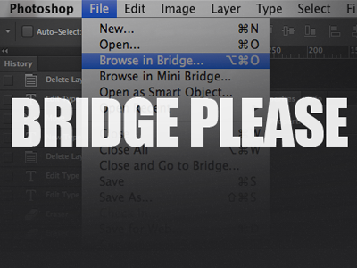Bridge Please! photoshopkiller