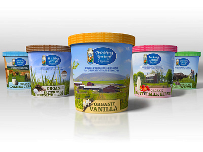 Organic Icecream Packaging color scheme creamery ice cream local organic packaging