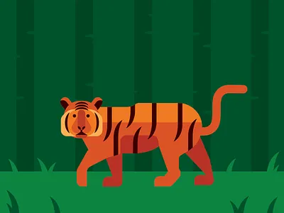 Tiger animal illustration jungle vector