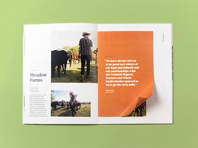 Layout layout magazine photo photography print typography