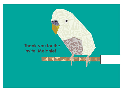 First Shot: Budgie Geometric Illustration