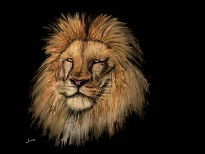 Digital Painting air arterage brush