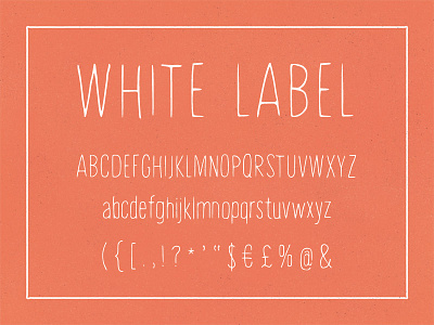 White Label, hand-painted font brush drawn font hand human ink light modern organic painted skinny thin