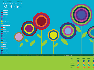 Infographic graphic design infographic school project typography