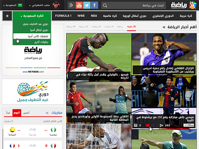 Reyada design flat web