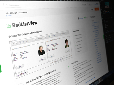 Demos controls demos design interaction interaction design marin sotirov page ui web web design